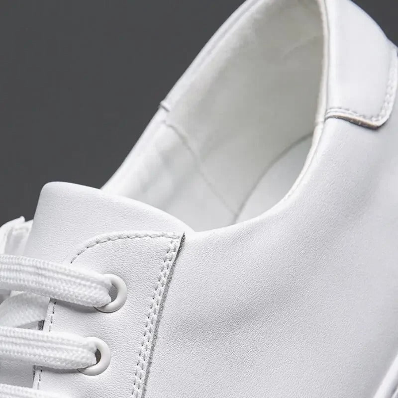 David™ - Herren Turnschuhe aus Leder